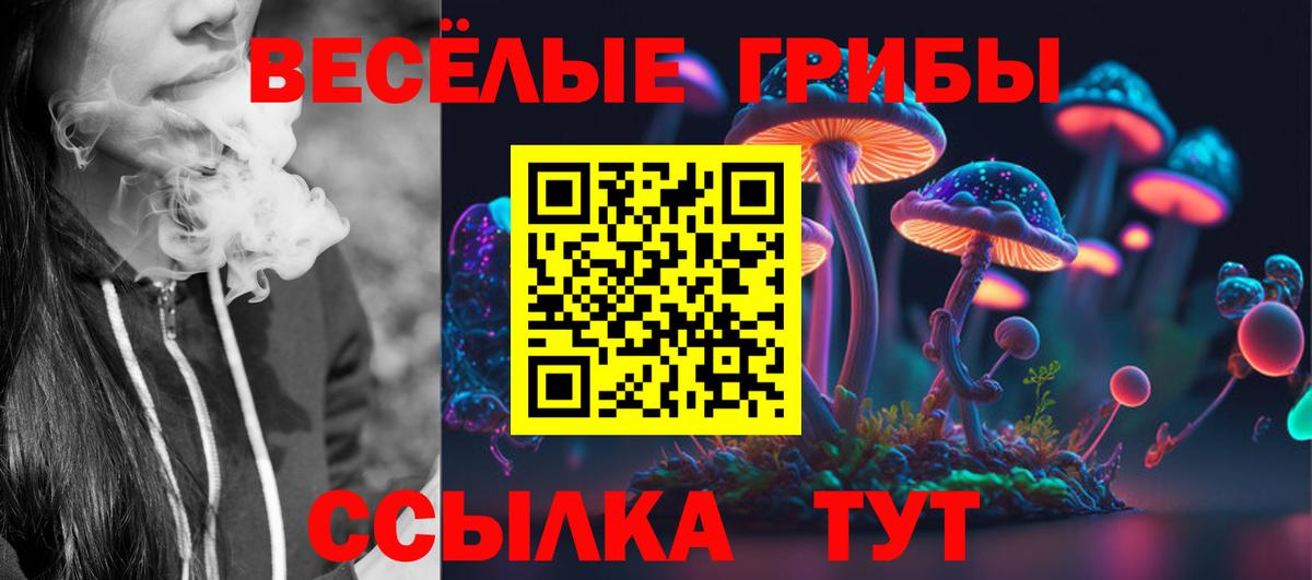 Галлюциногенные грибы Magic Shrooms  Вход с VPN  Кунгур 